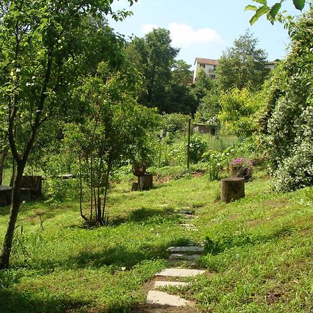 Appartamento In Monferrato Di Dominga Portacomaro Exterior photo