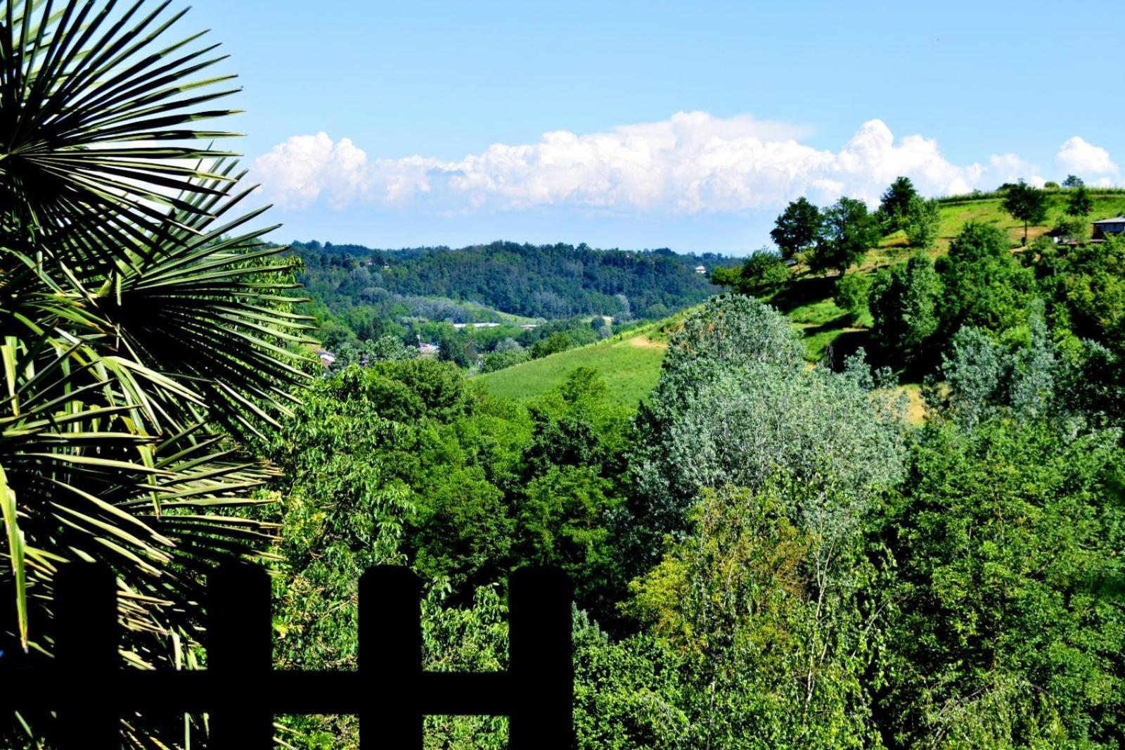 Appartamento In Monferrato Di Dominga Portacomaro Exterior photo